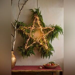 RARE TERRAIN NWT Stargazer Illuminated LED Vine Star